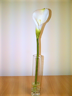 Bud Vase