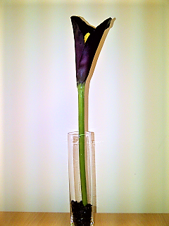 Bud Vase